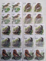 België - Vogels van A. Buzin in blokken van 4, Gestempeld