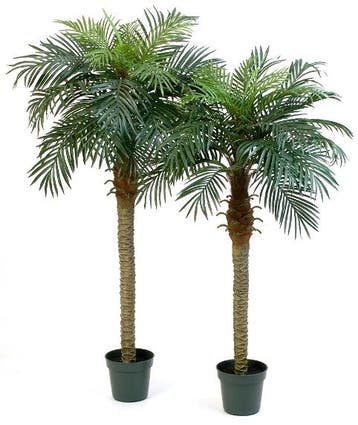 Kunstplant Phoenix Palmboom 180 cm, Verzenden