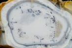 OPAL was OPALINE uit Turkije - intense fluorescentie onder