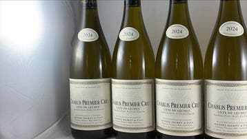 2024 Domaine Daniel Dampt Côte de Léchet - Chablis 1er Cru