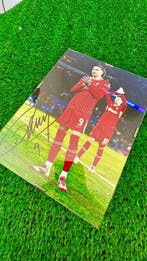 Liverpool - Premier League - Darwin Núñez - 2026 - Foto, Verzamelen, Nieuw