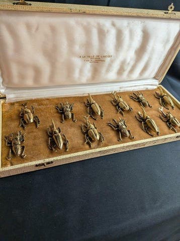 Messensteun (12) - Metaal - Insecten