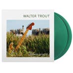 Walter Trout - Common Ground, Cd's en Dvd's, Nieuw in verpakking, 12 inch