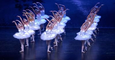 Het Zwanenmeer Tickets, Tickets en Kaartjes, Overige Tickets en Kaartjes