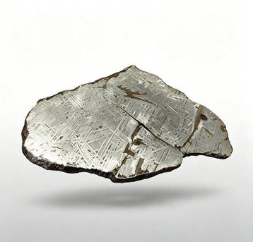 Météorite d’Aletai Tranche de météorite en fer dAltay,, Collections