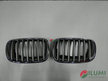 Nerf, nieren, grille BMW X5 E70, Verzenden