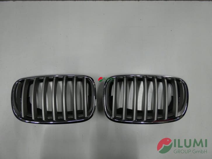 Nerf, nieren, grille BMW X5 E70, Autos : Pièces & Accessoires, Carrosserie & Tôlerie, Envoi