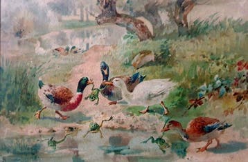 Franse school (XX) - Les canards prés de la mare