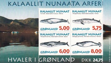 Groenland - 1997 - Walvissen - Postfris, Postzegels en Munten, Verzenden, Denemarken, Postfris