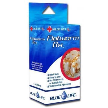 Blue Life Flatworm RX, Verzenden, Nieuw