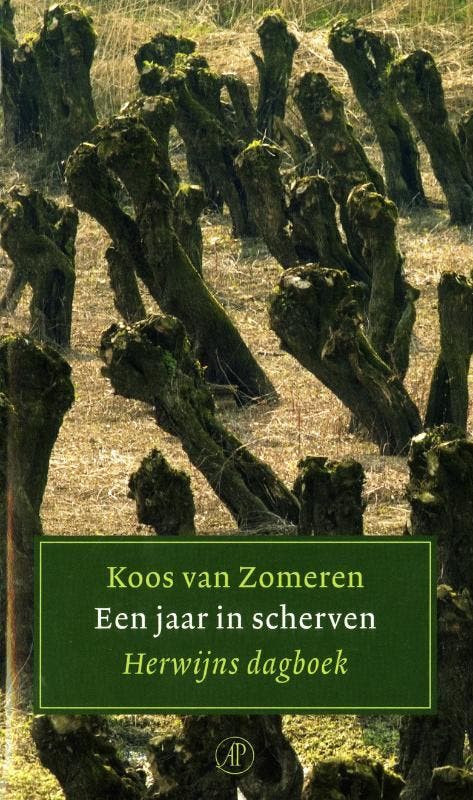 Een jaar in scherven 9789029566773 K. van Zomeren, Livres, Littérature, Envoi
