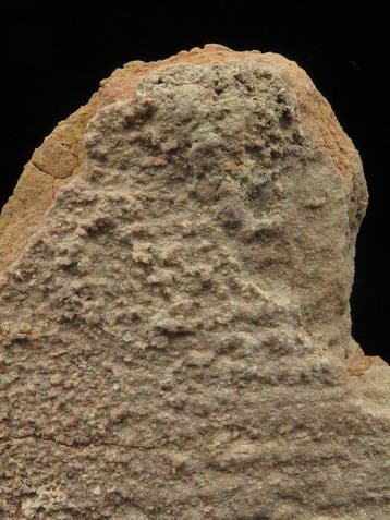 Mésopotamien argile Tablette (fragment) avec écritures