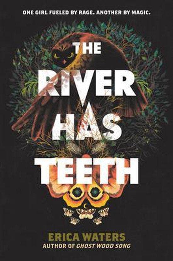 The River Has Teeth 9780062894250 Erica Waters, Livres, Langue | Anglais, Envoi