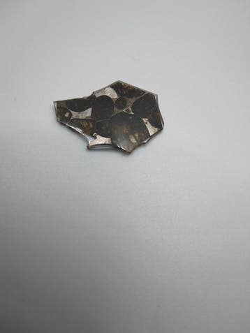 Sericho Pallasite Meteorite Plak - 1 g - (1)