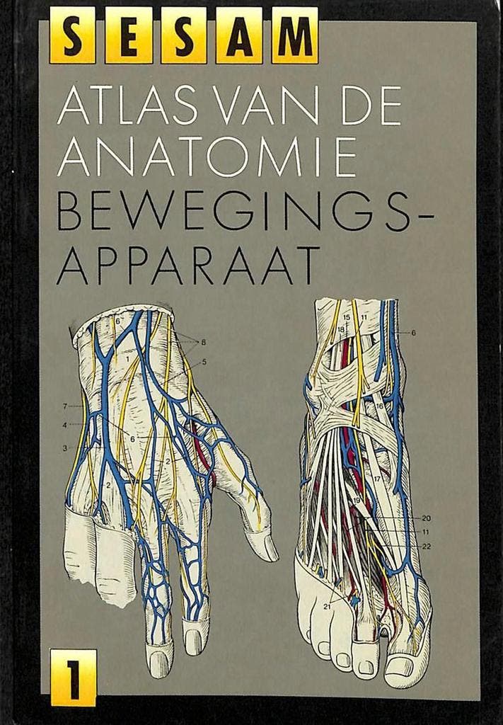 Sesam atlas van de anatomie 1: bewegingsapparaat / Sesam, Livres, Science, Envoi