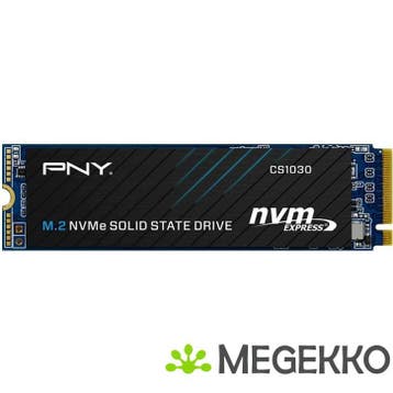 PNY SSD CS1030 500GB, Computers en Software, Harde schijven, Verzenden, Nieuw
