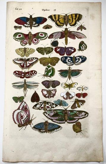 Matthäus Merian (1593-1650) - hand coloured engraving: