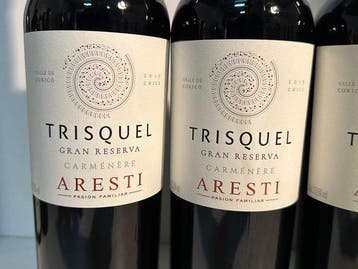 2019 Aresti Trisquel Gran Reserva Carmenere - Vallée de
