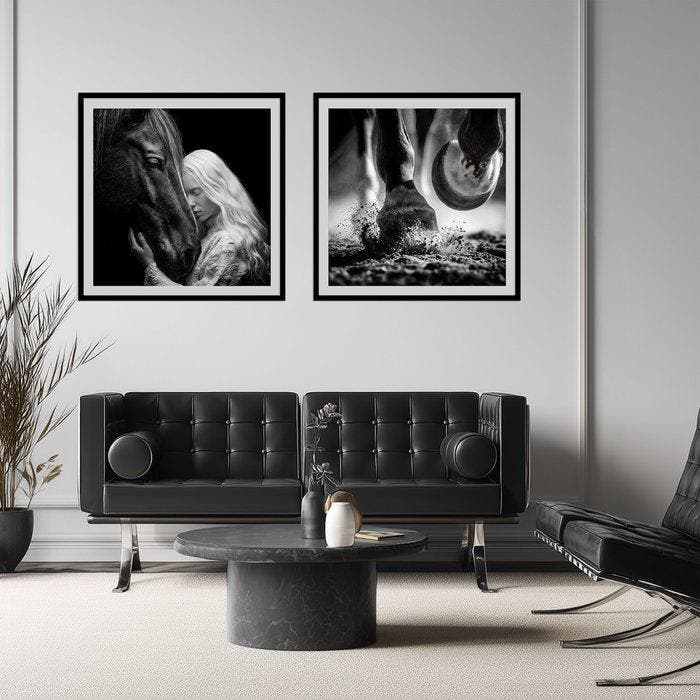 Aiana Roz - Silent Power - Set of 2 Black and White Fine Art, Antiquités & Art, Art | Objets design