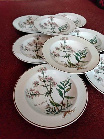 Villeroy & Boch - Villeroy Boch - Tafelservies (8) -