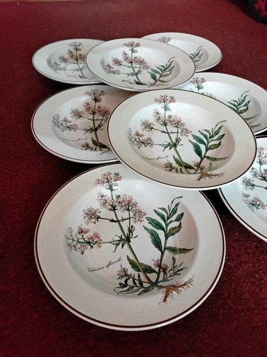 Villeroy & Boch - Villeroy Boch - Tafelservies (8) -, Antiek en Kunst, Antiek | Meubels | Tafels