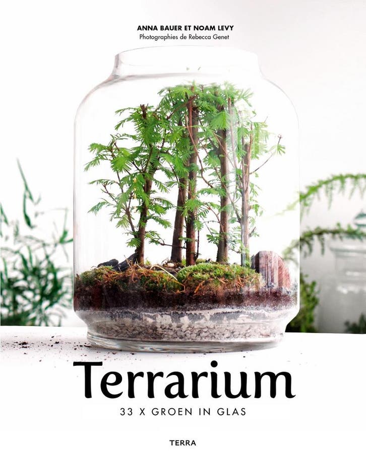 Terrarium 9789089897725 Noam Levy, Livres, Loisirs & Temps libre, Envoi