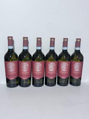 2020 Monacesca verdicchio di Matelica “Terra di Mezzo” -, Nieuw