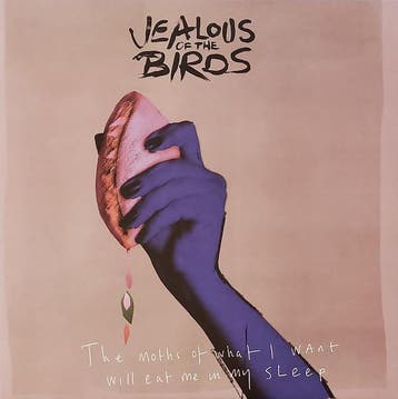 Jealous Of The Birds - The Moths Of What I Want Will Eat Me, Verzenden