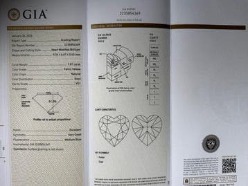 1 pcs Diamant (Natuurlijk gekleurd) - 1.01 ct - Hart - Fancy, Nieuw