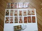 Cartes de tarot - Minchiate Fiorentine XVIII sec - Papier