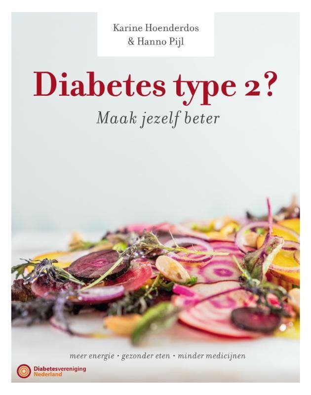 Diabetes type 2? 9789059566651 Karine Hoenderdos, Boeken, Kookboeken, Gelezen, Verzenden