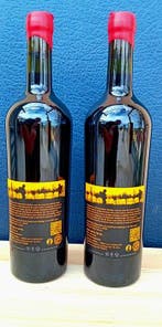 2024 Giocondinas Malbec - Mendoza IGT - 2 Fles (0,75 liter), Verzamelen, Nieuw
