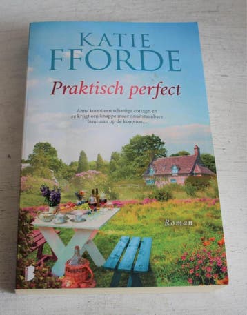Praktisch perfect - Katie Fforde 9789022591017 Katie Fforde, Boeken, Verzenden, Zo goed als nieuw, Katie Fforde