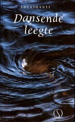 Dansende leegte 9789491411014 Adyashanti, Boeken, Verzenden, Zo goed als nieuw, Adyashanti