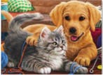 2dekans | Rubye® -Diamond Painting Set 40x30 cm – Kitten &, Ophalen of Verzenden, Nieuw