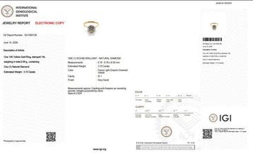 Ring - 14 karaat Geel goud - 3.10ct. tw. Diamant (Natuurlijk