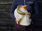 Beeld, Skull with Golden Serpent Snake - 23 cm - Hars - 2026
