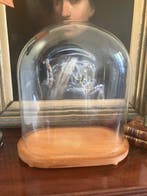 Stolp - Glas, Hout - 1950-1960 - Franse koepel