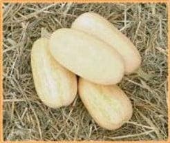 Heaven F1 pompoen koolhydraatarm, Hobby en Vrije tijd, Knutselen, Nieuw