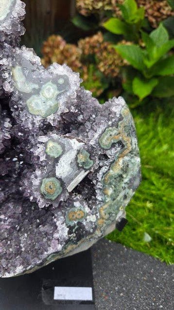 Améthyste Améthyste rare avec stalactite - Hauteur : 26.5 cm, Collections