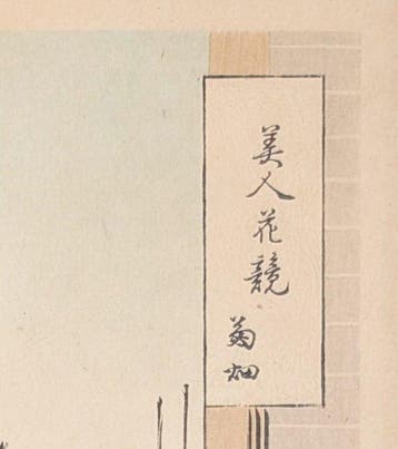 Ogata Gekk • Chrysanthemumentuin • Schoonheden vergeleken
