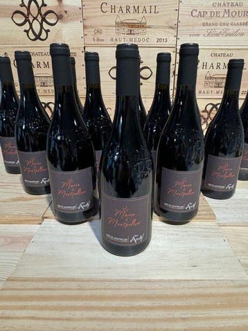 2021 Mas d’Arcay Cuvée 1779 Marie de Montpellier -, Nieuw