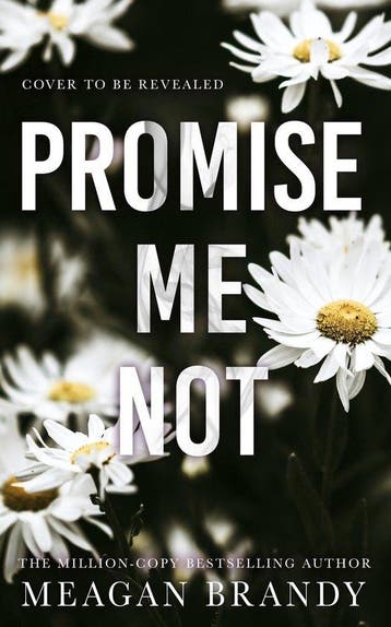 Promise Me Not 9781398723375 Meagan Brandy, Verzenden, Gelezen, Meagan Brandy