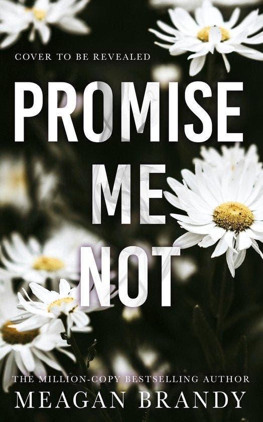 Promise Me Not 9781398723375 Meagan Brandy, Boeken, Taal | Engels, Gelezen, Verzenden