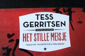 Het stille meisje DL light 9789049804091 Tess Gerritsen, Verzenden, Gelezen, Tess Gerritsen