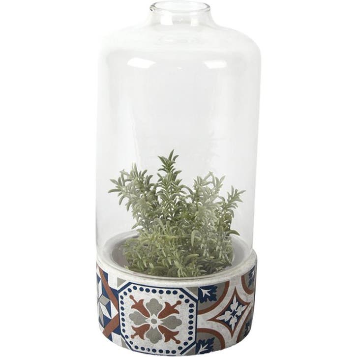 Esschert Design - glazen Kweekklok - cactus vaas -, Maison & Meubles, Accessoires pour la Maison | Vases, Envoi