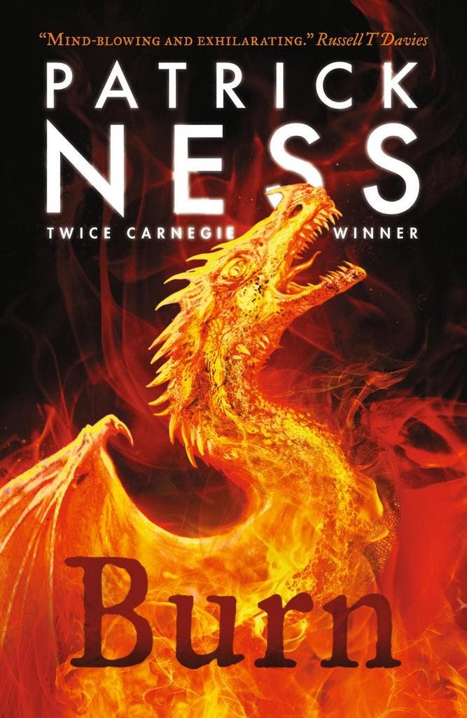 Burn 9781406393972 Patrick Ness, Livres, Langue | Anglais, Envoi