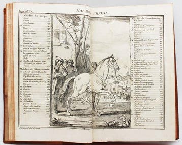 Gueriniere - Ecole de Cavalerie - 1736