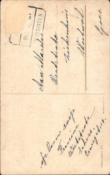 oiseaux - Carte postale (117) - 1900-1999