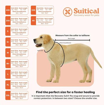 Suitical Recovery Suit Hond, S, Blauw Camouflage (Honden), Ophalen of Verzenden, Nieuw